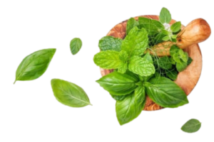 Herbal paste therapy using natural ayurvedic ingredients